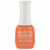 Entity Color Couture Soak Off Gel I Know I Look Good 0.5 Fl Oz