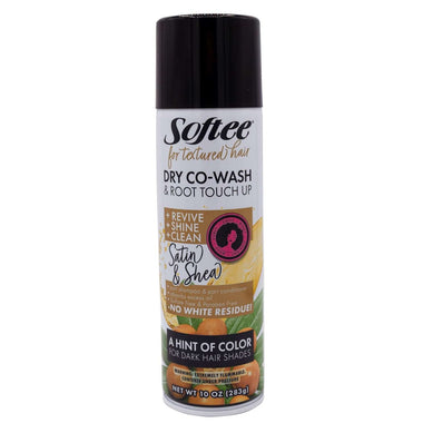 Dry Co-Wash Refresh Spray  Root Touch Up